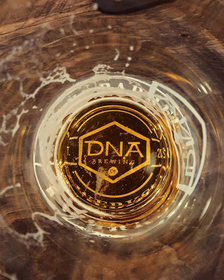 DNA Brewing Company - Case Study - NBDco.